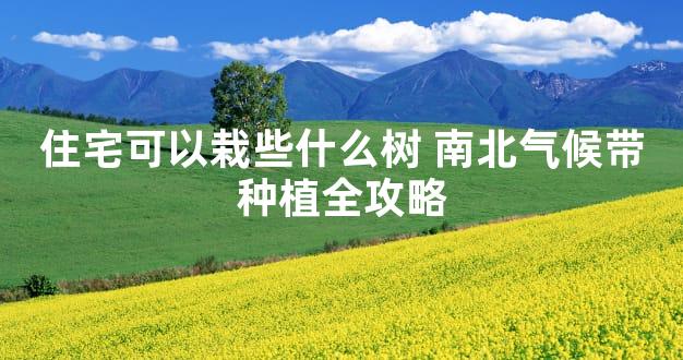 住宅可以栽些什么树 南北气候带种植全攻略